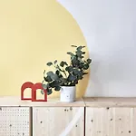 Apartment Unwind In Style W Sauna Dsgn 2br *